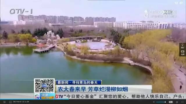 青岛农大现在情况,青岛农大放开了吗