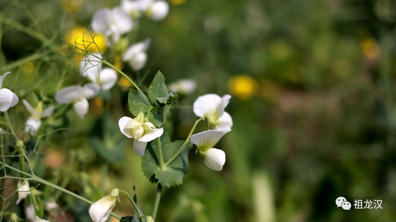 人生，难免因果重重：《易本道》第19期