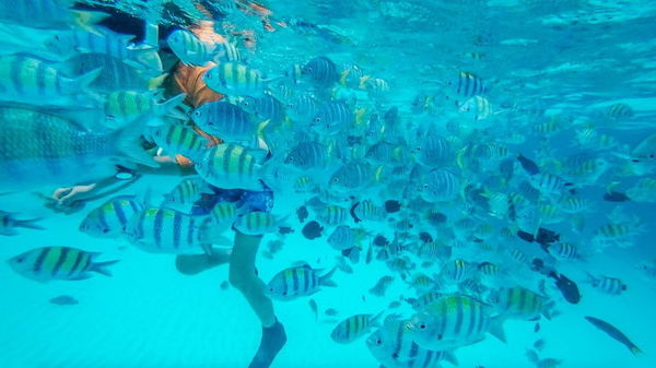 每当海岛又下起了雨赏析,每当海岛又下起了雨小说
