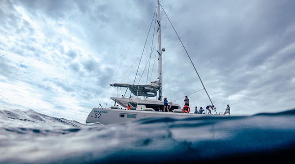 每当海岛又下起了雨赏析,每当海岛又下起了雨小说