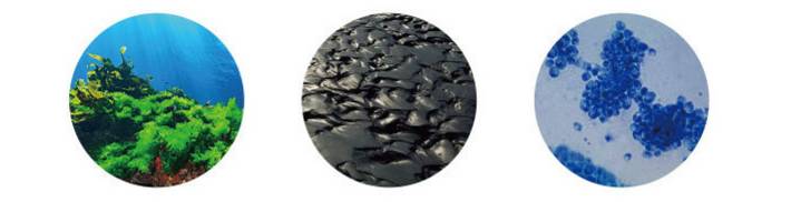 5折福利|专治重度美颜相机依赖症的英国古方药妆