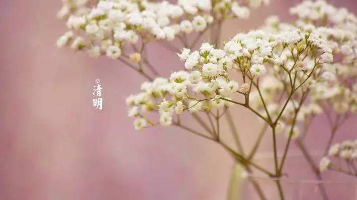 清明最好的十首诗七言,清明诗词十首朗诵