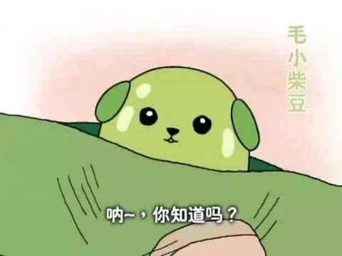 二次元适合哪些广告,二次元视频广告入口