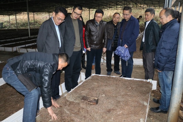 国药控股副总裁蔡买松,蔡买松国药