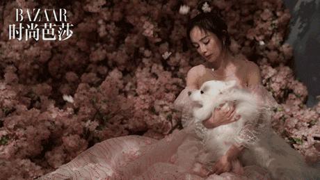 大幂幂时尚盛典完整版,大幂幂时尚盛典红毯