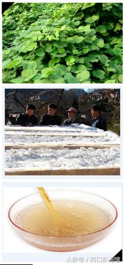 大别山深处的绝美山珍!