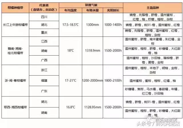 粑粑柑最近为什么这么便宜,粑粑柑怎么一年四季都有