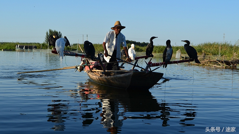 雄安白洋淀冬季旅游攻略,远离喧嚣白洋淀旅行
