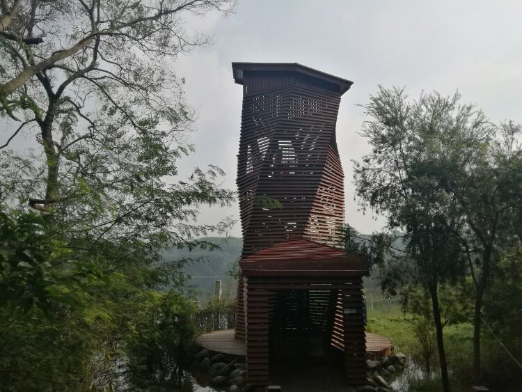 到中山的千年古刹古香林寺旧址周边山林探秘，感觉大自然太美啦