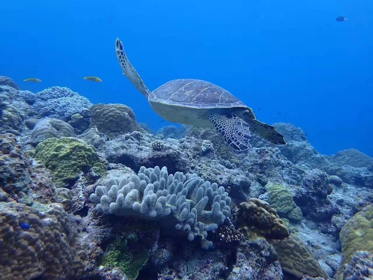 weekendescape什么意思,weekendescape