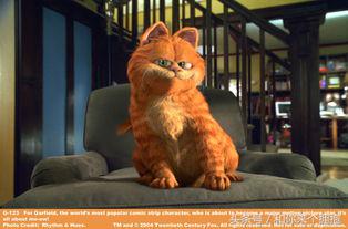 盘点那些8090后童年回忆的动画片,回忆8090后看过的国产动画片歌曲