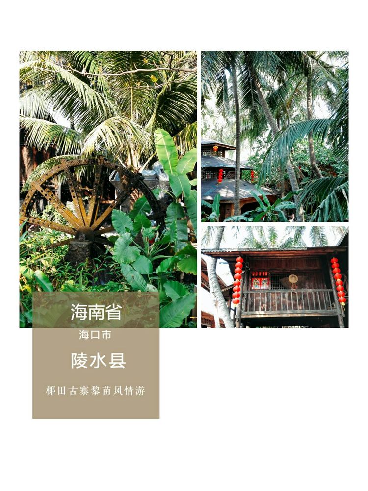 海南之旅感悟,海南行的点滴回忆