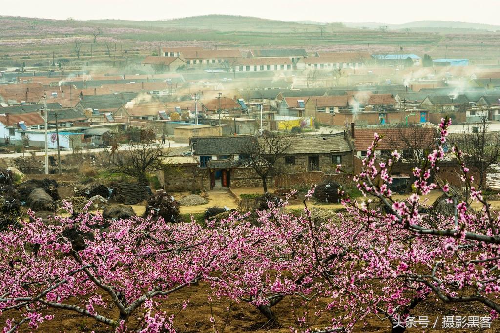 濞佹捣涔冲北妯辨,灞变笢涔冲北妯辨