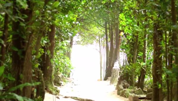 weekendescape什么意思,weekendescape