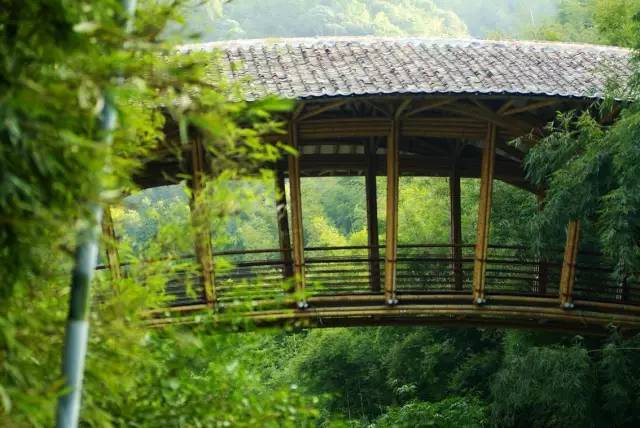 广州出发一小时去山里隐居,广州归隐山林的田园生活