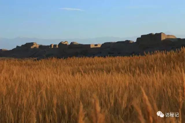 古西域三十六国,古西域三十六国楼兰