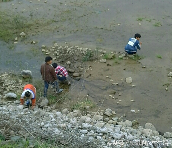 被水里的吸血生物吸附腿上，该怎么办？