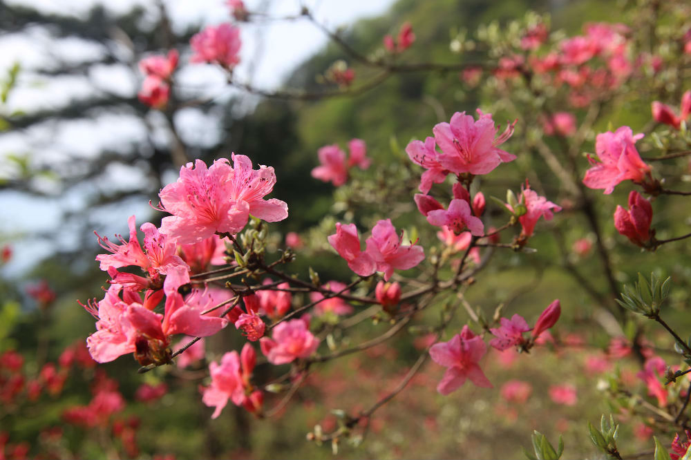 山东领秀户外:千里挺进大别山,众雄傲视天堂寨