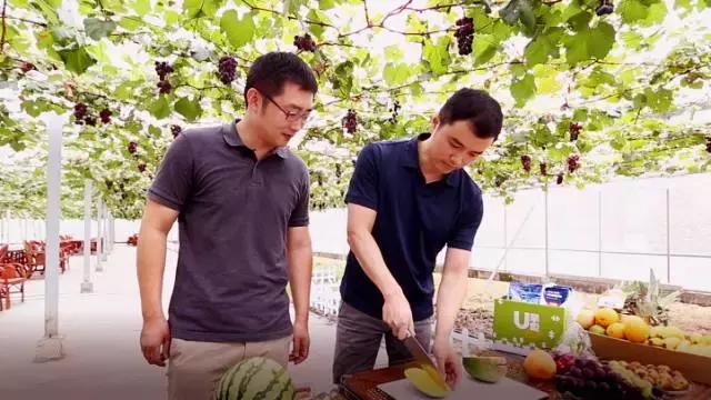 人物｜一小时送达的生鲜电商，我只服U掌柜