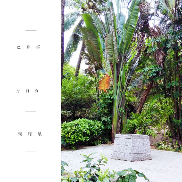 海南之旅感悟,海南行的点滴回忆