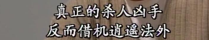 刑事侦缉档案袁天丽马成昌第五集,刑事侦缉档案袁天丽