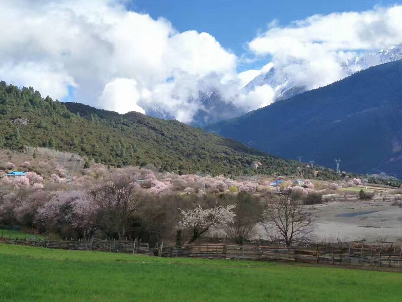 高血压用药不能停吗,高血压用降压药降不下来