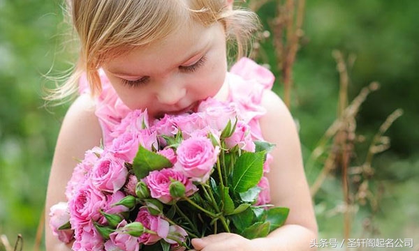 秋天出生的女孩取名诗意的名字,3个字诗意唯美名字女生