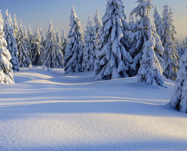 自古多情空余恨下一句是什么,自古深情留不住唯有套路得人心呢