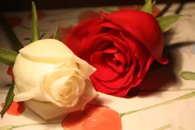 怎么会有人喜欢玫瑰味的香水,散发着浓烈爱意的香水