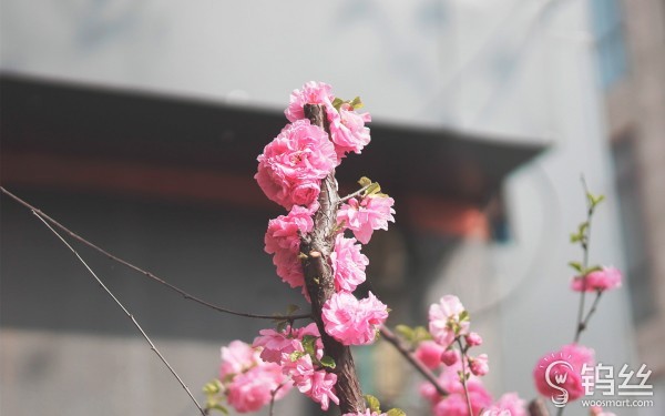 小蚁微单m1深度评测,小蚁微单m1拍视频效果怎么样