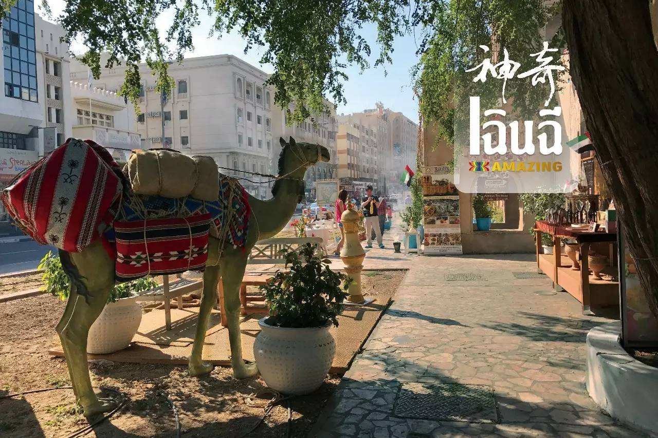 穿越沙漠到迪拜,大世界之旅阿联酋