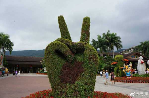 呀诺达热带雨林公园票价,呀诺达热带雨林景区官网