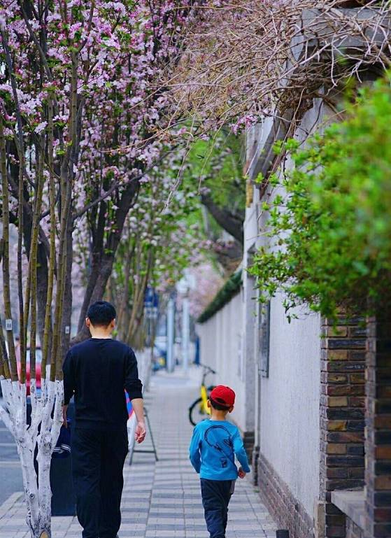 天津最值得去的免费景点,最新天津值得一去的景点推荐