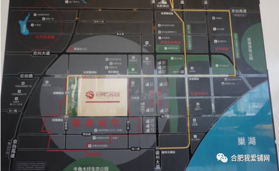 实探合肥,实探合肥滨湖