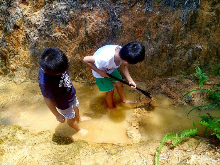 到中山的千年古刹古香林寺旧址周边山林探秘，感觉大自然太美啦
