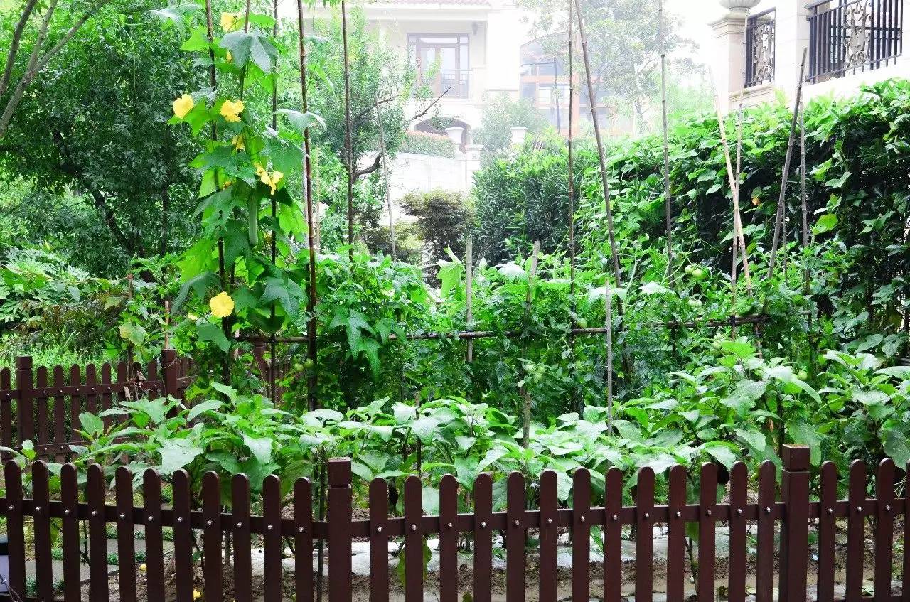 盛一设计总监专访丨李熙正：设计出客户真正迫切需要的梦想住宅