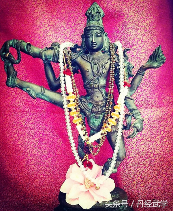 瑜伽萤火虫式的体式,瑜伽湿婆舞教学