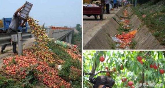 新农村好点子,农村最新创业点子