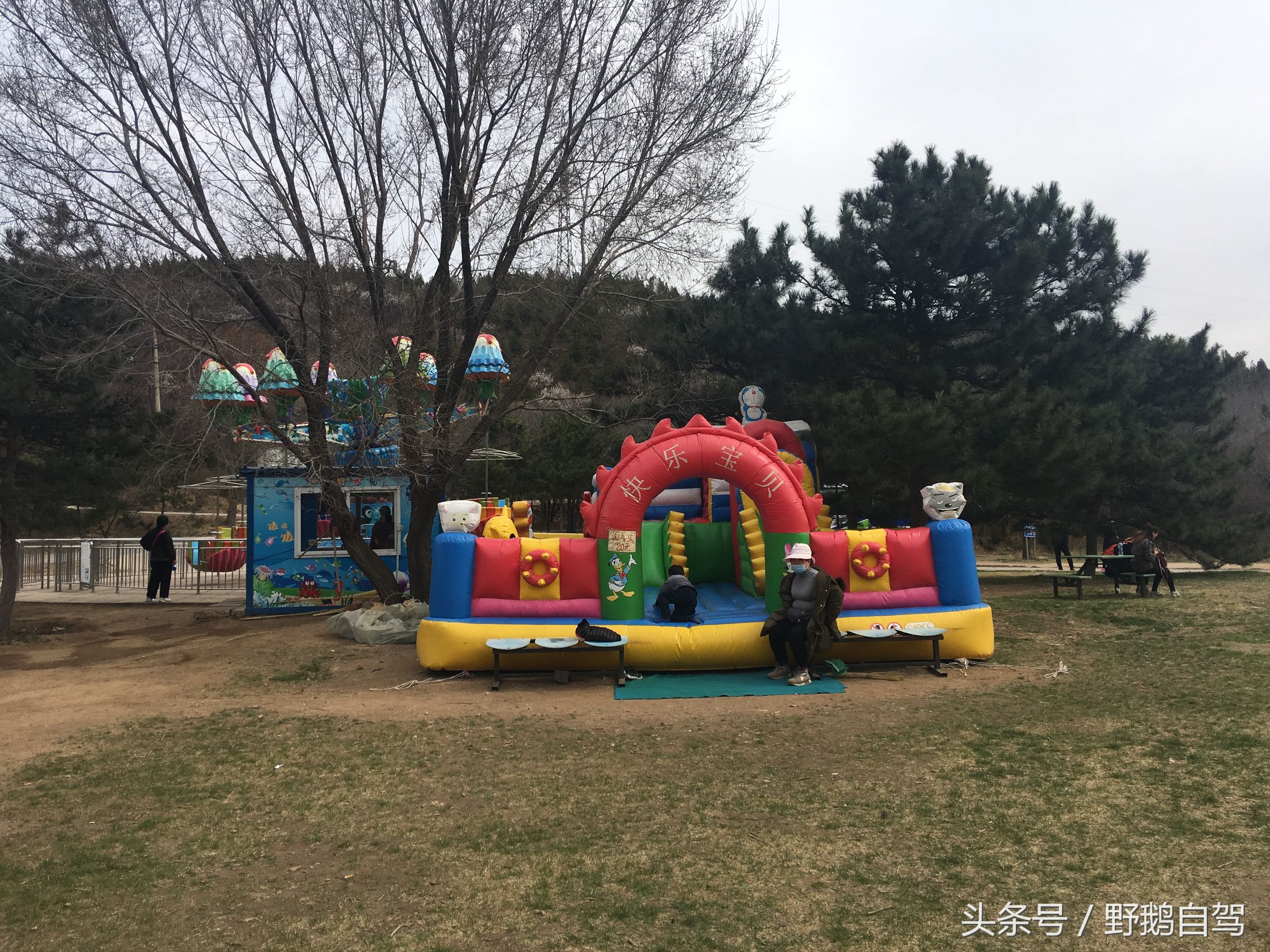 八达岭野生动物园野兽区,八达岭动物园自驾攻略大全