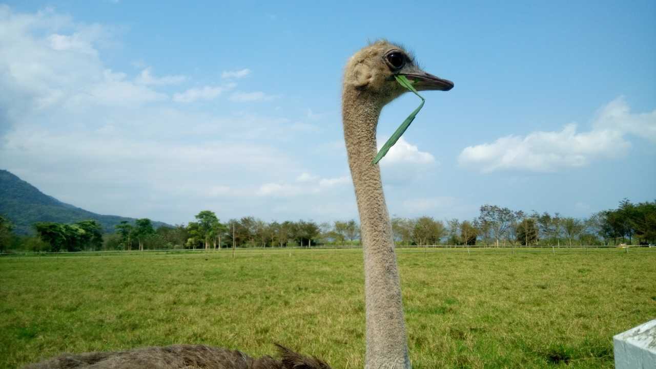苏花公路最佳路线,苏花公路风景图