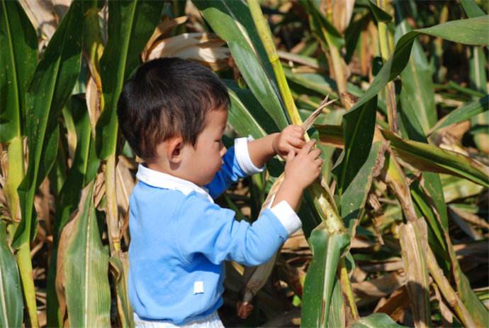 小时候是农村的来瞧瞧，你干过几样？