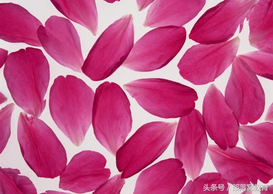 ps魔棒抠图最快又完整的方法,ps魔棒抠图如何增减和删减