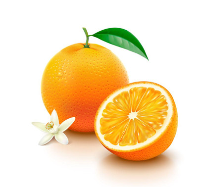 局限性白癜风有什么危害,儿童局限性白癜风发生在几个部位