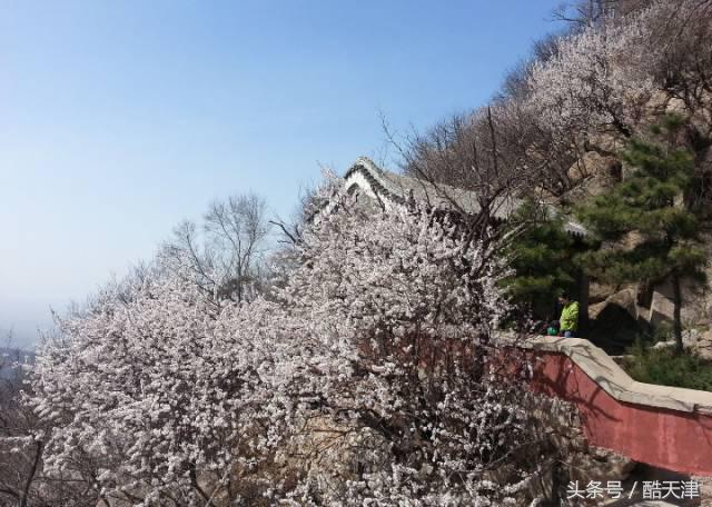 京津周边游玩景点推荐,京津冀附近人少风景好的旅游胜地