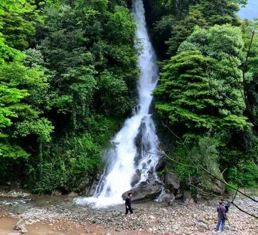 成都附近一小时氧吧,成都周边森林免费氧吧推荐