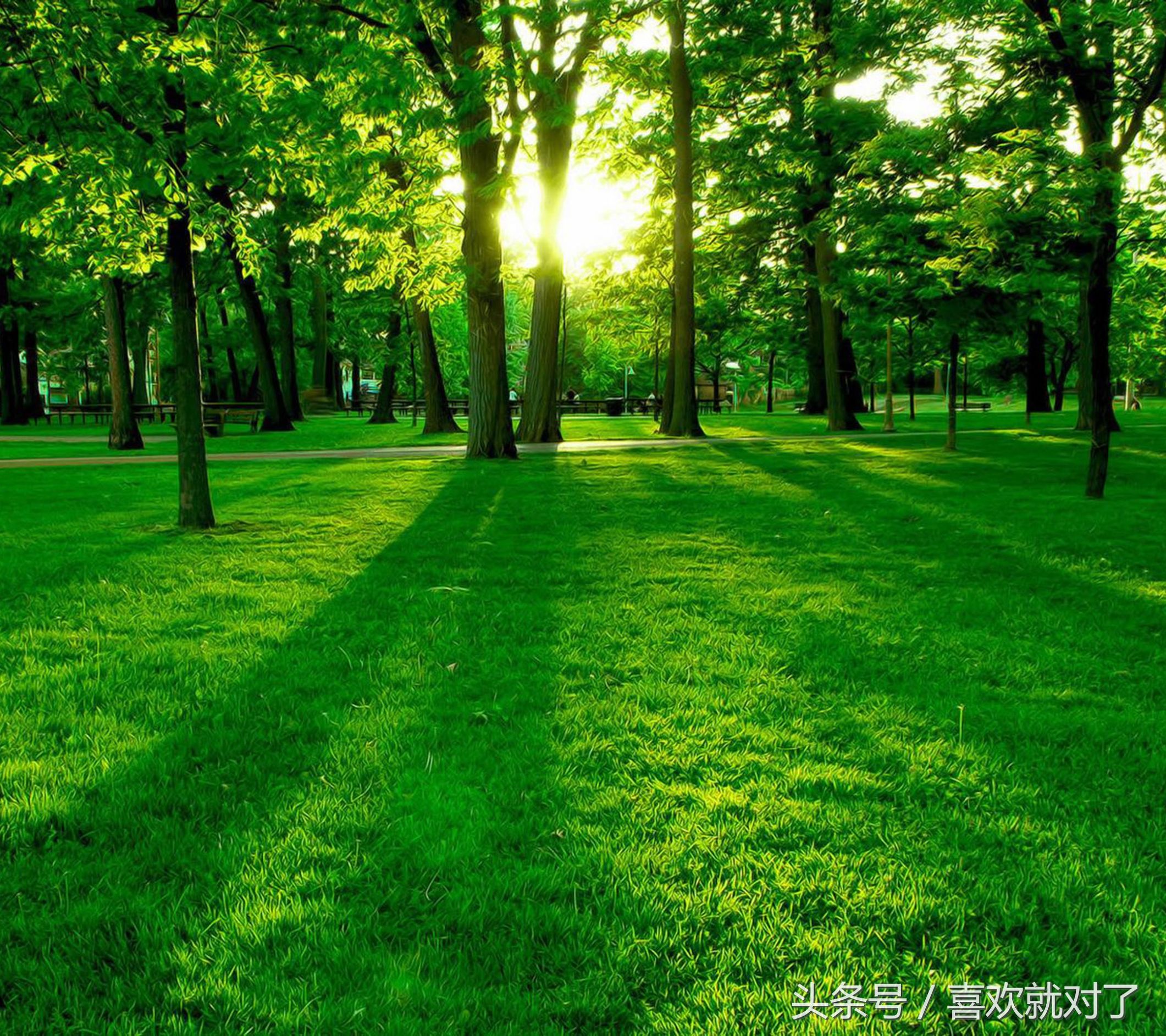 学习炒股从入门到精通,学习炒股的最佳方法