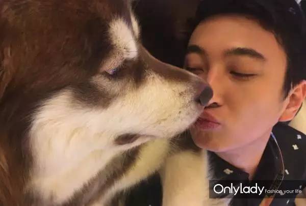 私人飞机？名牌包包？明星合影？这些宠物竟然这么大牌！