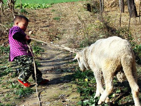 小时候是农村的来瞧瞧，你干过几样？