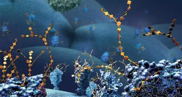 如何激活免疫系统对抗癌细胞,science治癌症