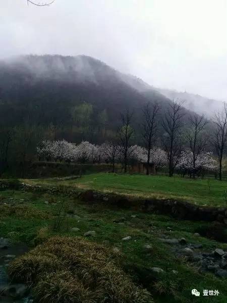 揭秘终南山隐士纪录片,探访终南山隐居的真实的生活